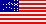United State's Flag
